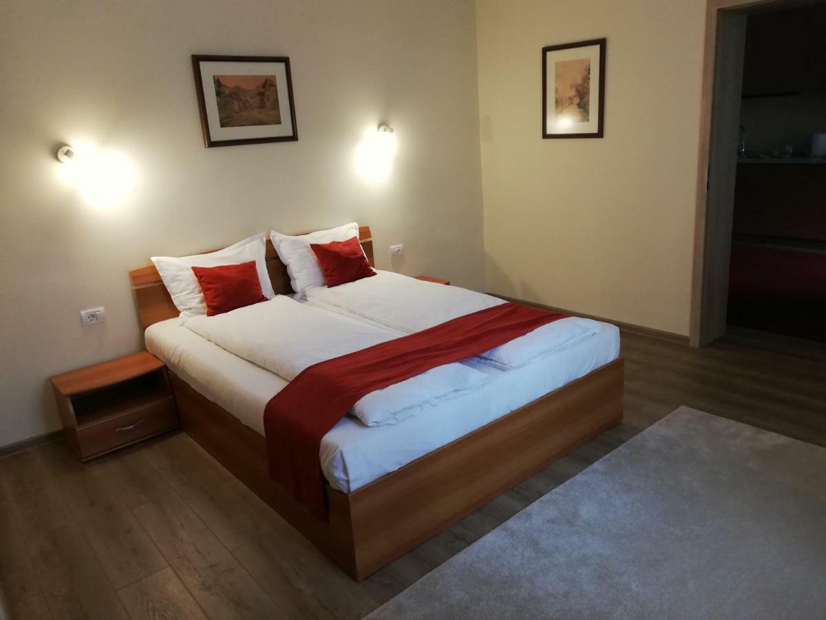 Vila Nicopole Art&Wine Braşov Eksteriør billede